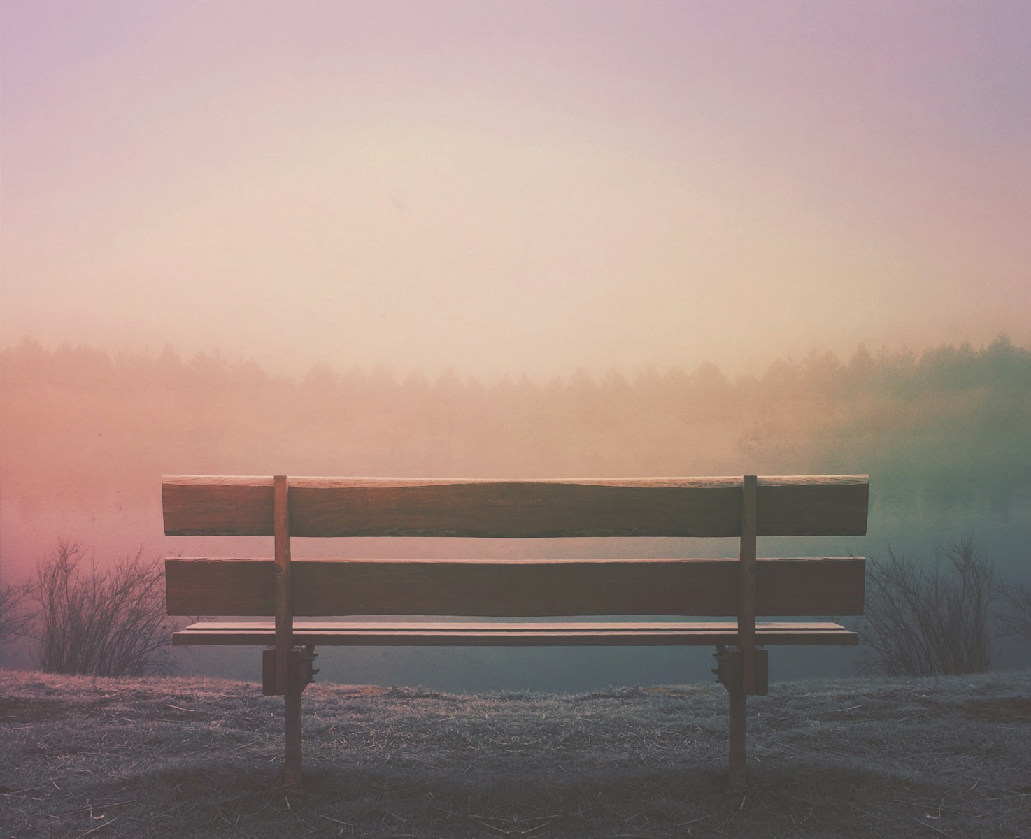 brown wooden bench in field
