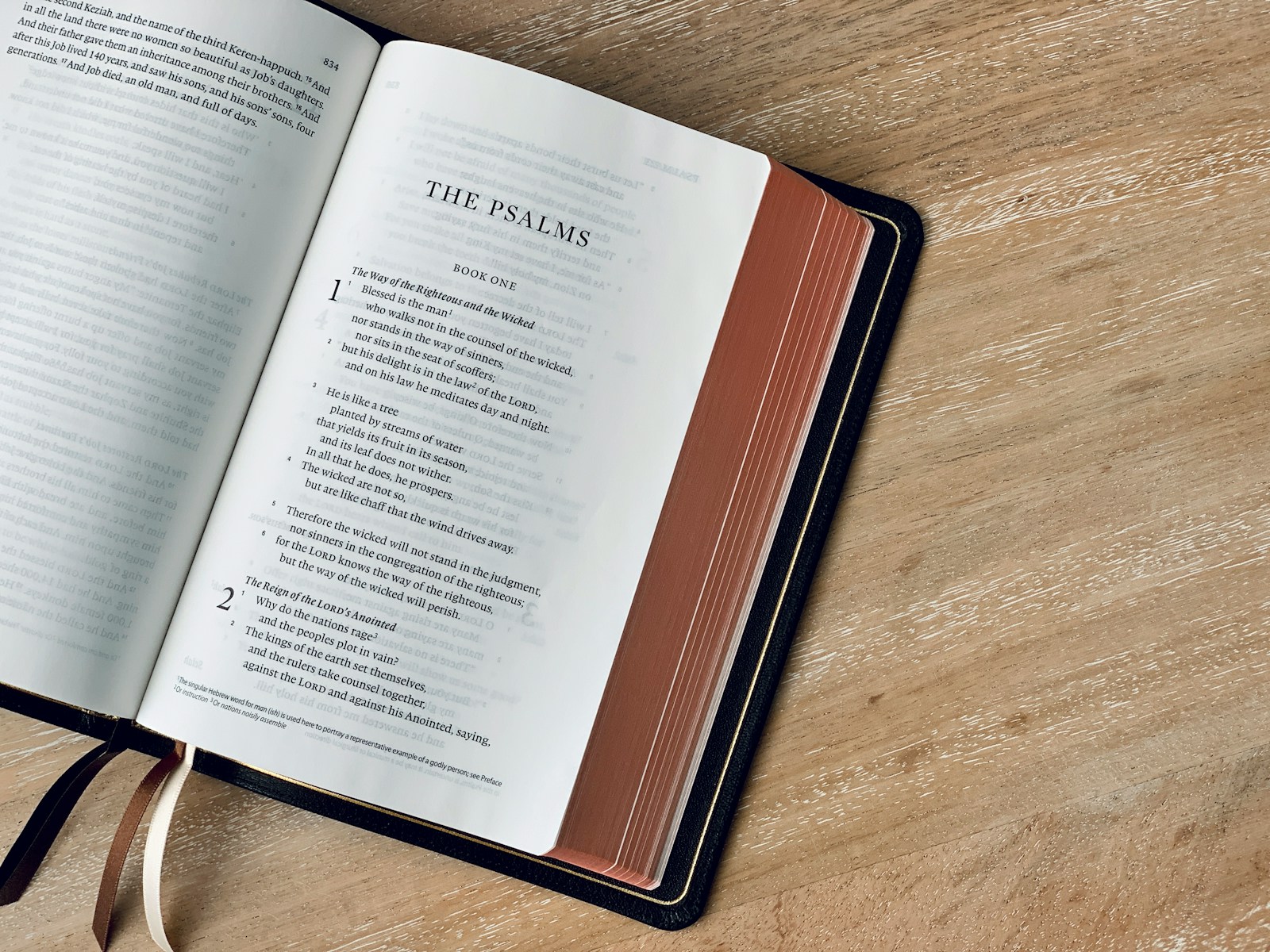 an open book on a wooden table with a ribbon